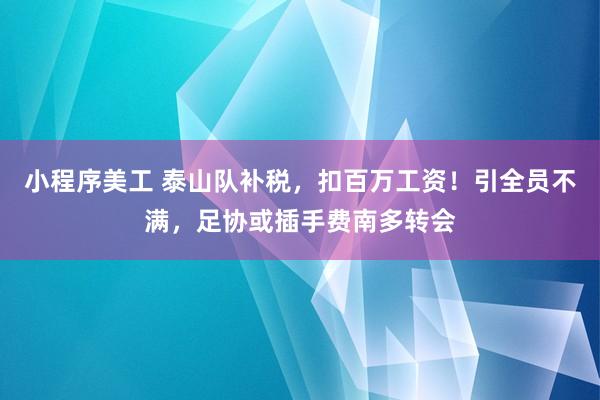 小程序美工 泰山队补税，扣百万工资！引全员不满，足协或插手费南多转会