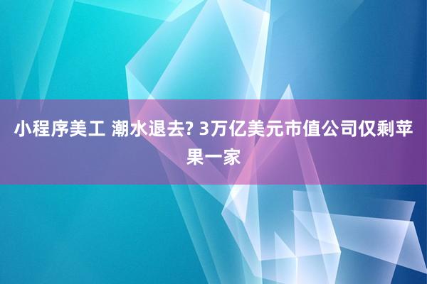 小程序美工 潮水退去? 3万亿美元市值公司仅剩苹果一家