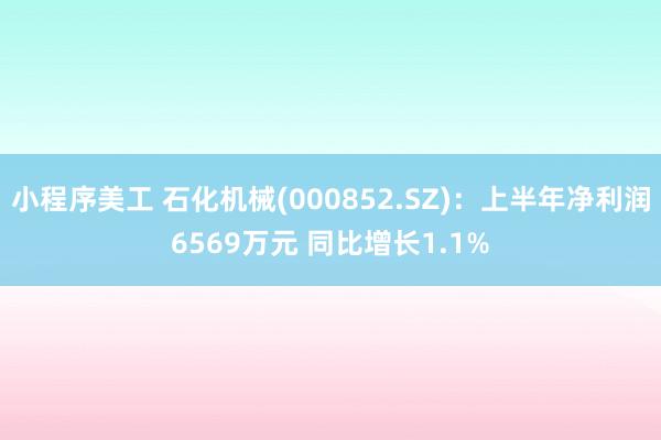 小程序美工 石化机械(000852.SZ)：上半年净利润6569万元 同比增长1.1%