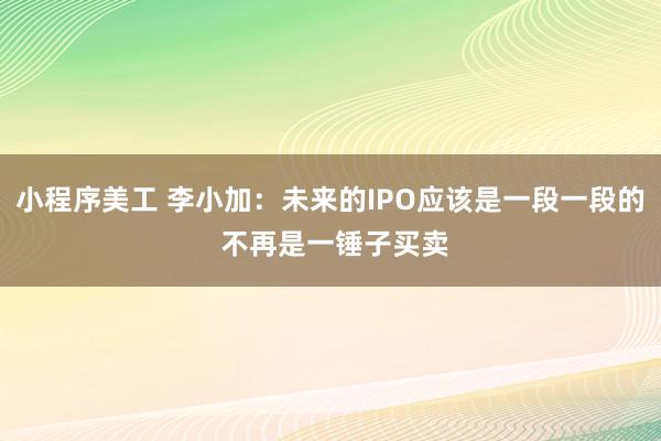 小程序美工 李小加：未来的IPO应该是一段一段的 不再是一锤子买卖